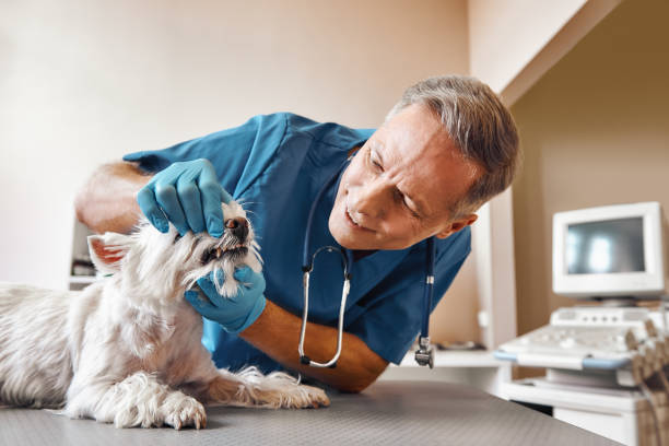  Aberdeen, MS Emergency Dentist Pros